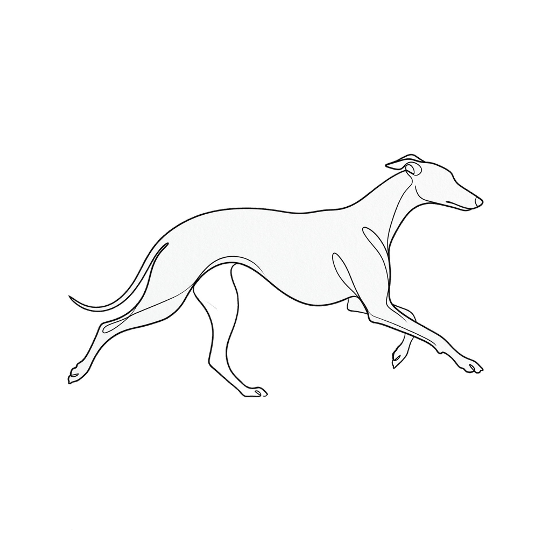 Minimal line art pet portrait shown as a custom shirt design.