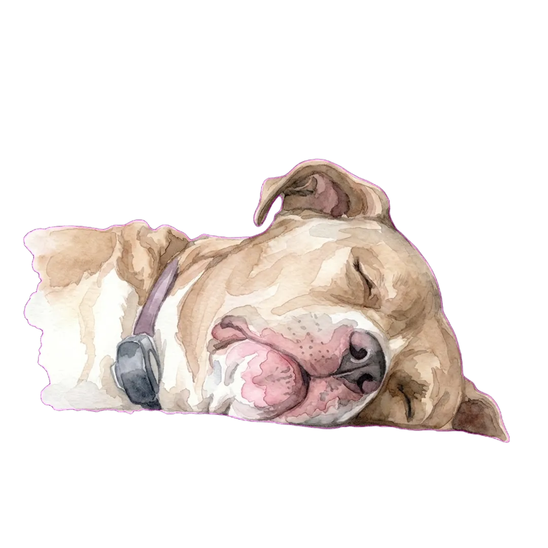 Lucy Watercolor artwork